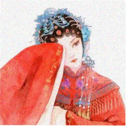 观众阿灯的头像